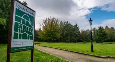 Nowe oblicze Ogrodów Papieskich. Inowrocław stawia na zieleń i ekoterie